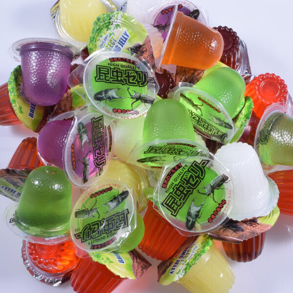 곤충 먹이젤리(50개) 장수 사슴