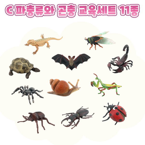 키즈보나,상품명