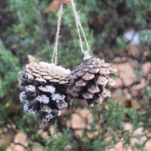 [크리스마스] 혼합 솔방울(4P) 장식소품