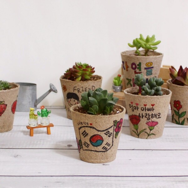 친환경 그리기화분 다육심기(6개세트)