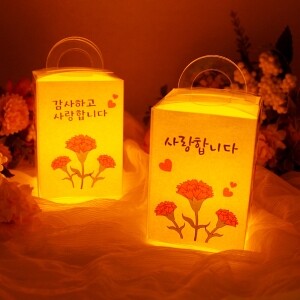 카네이션 무드등 만들기