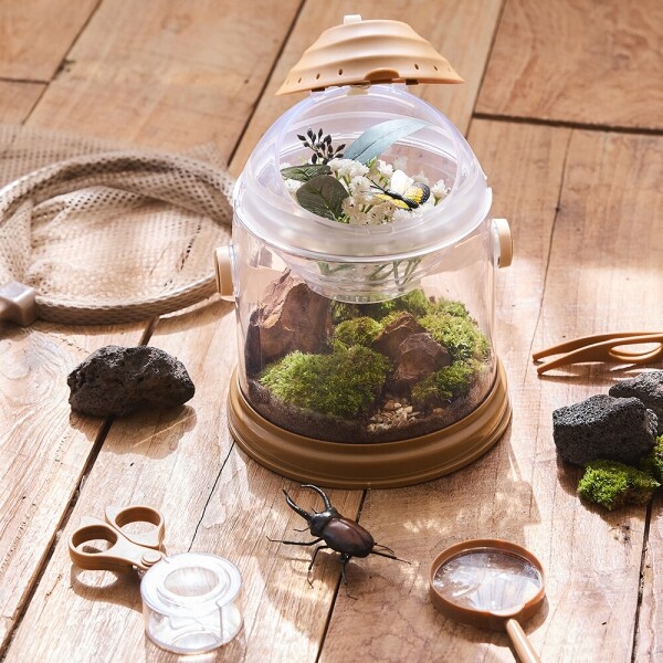 [활동영역별 기획전Ⅰ- 정적 영역] 아티바바 테라리움 채집 세트