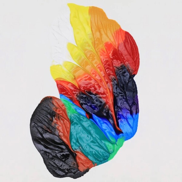 키즈보나,상품명