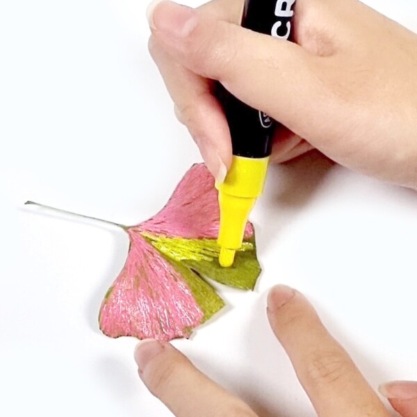 키즈보나,상품명