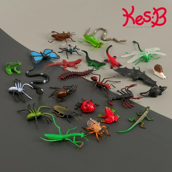 [캐스B]네이처 동물왕국곤충(2549)