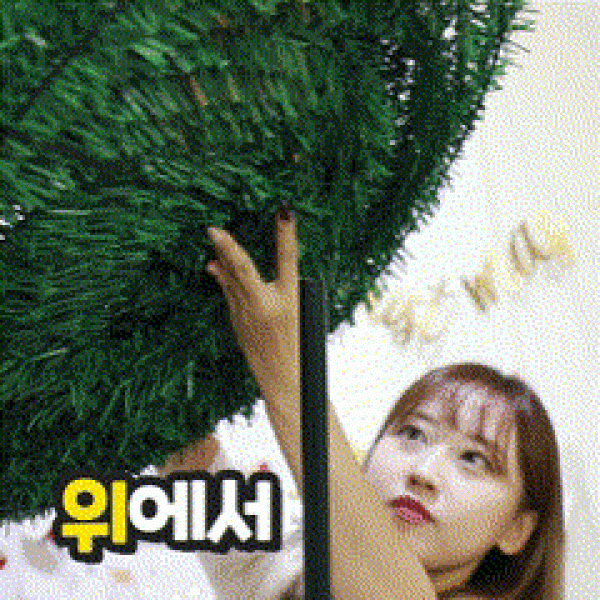 접어서 보관 간편한 설치 콤팩트리 LED전구 234개 그린 180cm